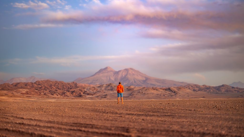 A person standing in a field with a mountain in the background
